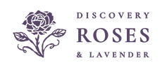 Discovery Roses &amp; Lavender - Home